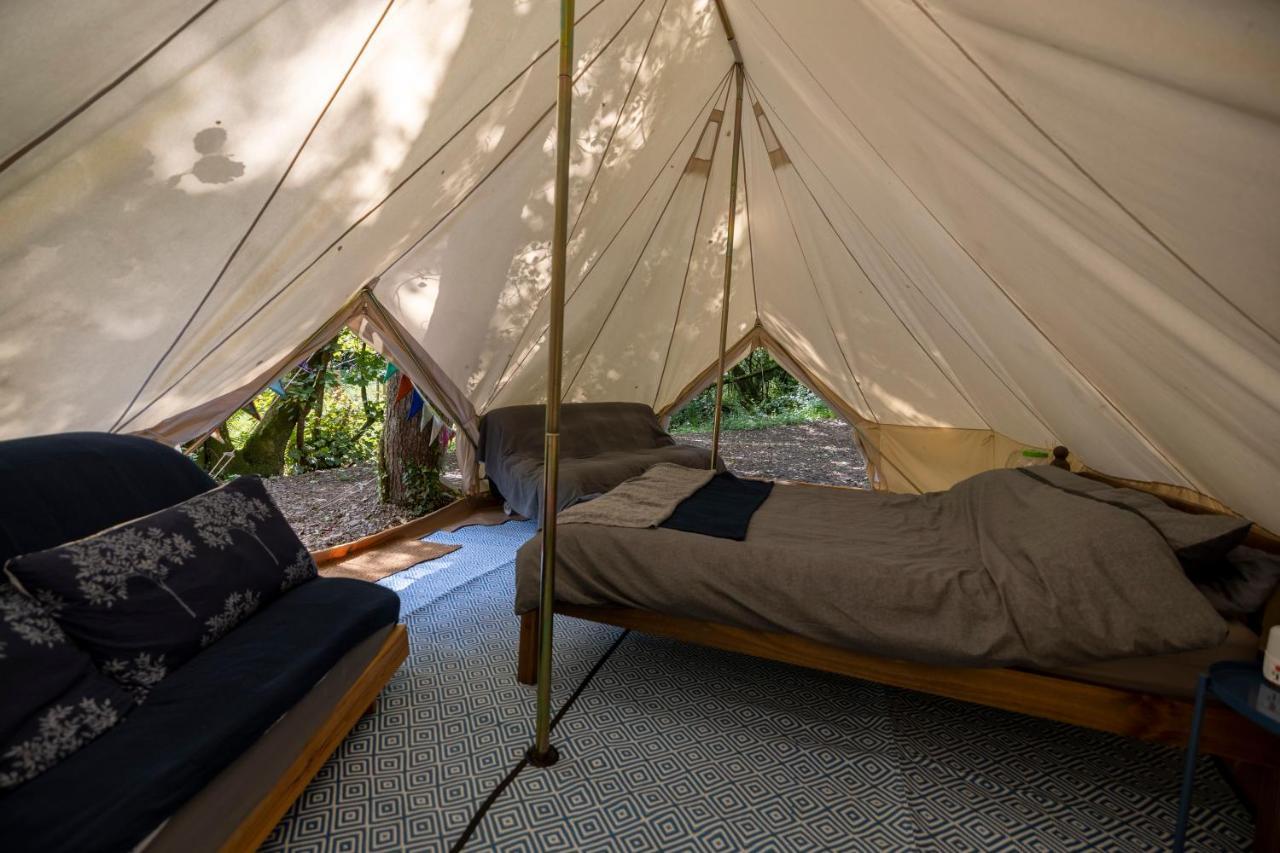 Naturally Glamping Kingsteignton Exteriör bild
